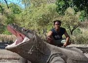 Tahukah Anda 6 Pulau Yang Dihuni Hewan Unik Selain Pulau Komodo, Simak Kisahnya