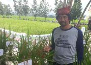 ARCHEX 2018 di Kuala Lumpur, BUMDesa Gogodeso Akan Tampilkan Produk Unggulan