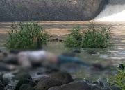 Wanita Berkebaya Ini Ditemukan Tewas di Sungai