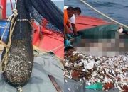 Pria di Gresik Berniat Menjala Ikan Malah Dapat Mayat Manusia