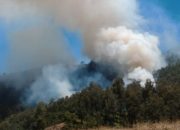 Peringatkan Para Pendaki, Hutan Gunung Panderman Terbakar