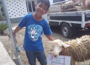 4 Tahun Menabung, Pelajar SD ini Kurban Kambing