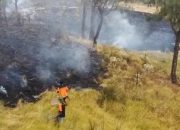 Kebakaran Hutan di Magetan Kini Meluas Hingga Wilayah Ngawi