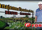 Desa Besur Sekaran Lamongan, Bangun Taman Agro Wisata di Tengah Persawahan