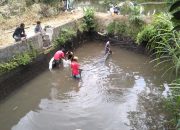 Harapkan Petani Milenial Untuk Bisa Memenuhi Permintaan Pasar Ikan Koi Blitar