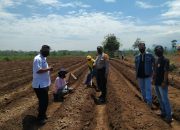 Ajak Remaja Bertani Cabe Rawit, Bhabinkamtibmas Taman Krocok Peroleh Penghargaan