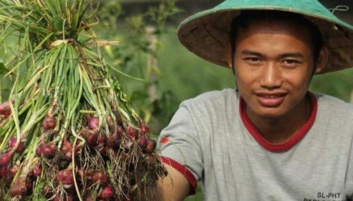 Petani Milenial Harus Mau Berproses, Dan Jangan Pernah Putus Asa