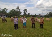 SEJARAH PUSAKA KARATON SURAKARTA MAESA KETURUNAN KYAI SLAMET