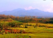 Sejarah Gunung Wilis Tempat Semedi Prabu Jayabaya