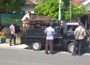 Jelang Idul Adha, Polres Nganjuk Lakukan Penyekatan untuk Cegah Penyebaran PMK