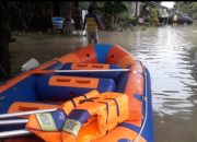 Waktunya Pemerintah Benar Benar Hadir Lebih Serius Membangun Ekosistem Hutan