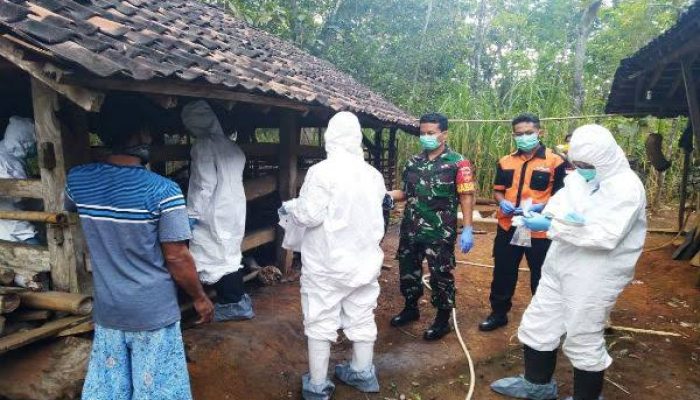 3 Warga Meninggal Dunia dan 87 Orang Terpapar Antraks Usai Makan Bangkai Sapi