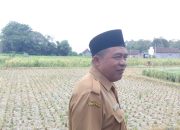 Mengubah Mindset, Petani Blitar Tidak Lagi Tergantung Pupuk Pabrikan