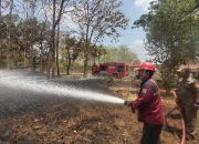 Respon Kebakaran Lahan Di Jarorejo, SIG Tuban Terjuankan Unit Damkar