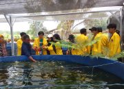 Kunjungan Lapang Universitas Kadiri, Motivasi dan Dukungan Lahirnya Petani Muda