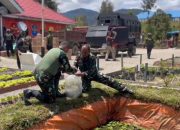 Satgas Yonif 509 Kostrad Tanam Sayur dan Tabur Benih Ikan Lele Di Papua