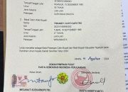 DPP PDI Perjuangan Keluarkan Rekomendasi untuk Pasangan Marhaen-Handy di Pilkada Nganjuk