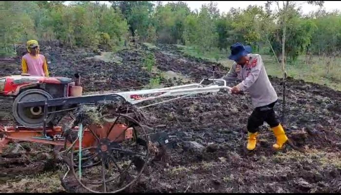 Lahan Seluas 0,28 Hektare yang Akan Ditanami Jagung  Disiapkan Polres Nganjuk