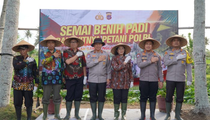 Dukung Ketahanan Pangan Nasional, Kakorbinmas Baharkam Polri Semai Padi di Kulonprogo