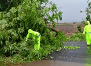 Aksi Sigap Polsek Rejoso dan Warga Atasi Pohon Tumbang di Jalan Raya Rejoso