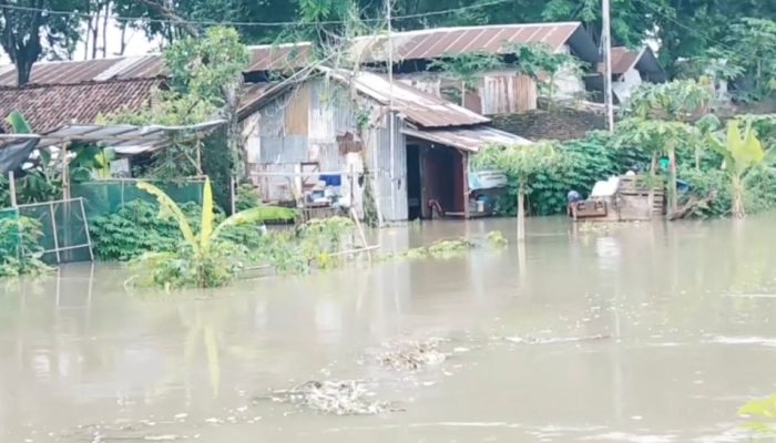 Hujan Deras dan Sungai Dangkal Sebabkan Banjir di Jogomerto, Nganjuk