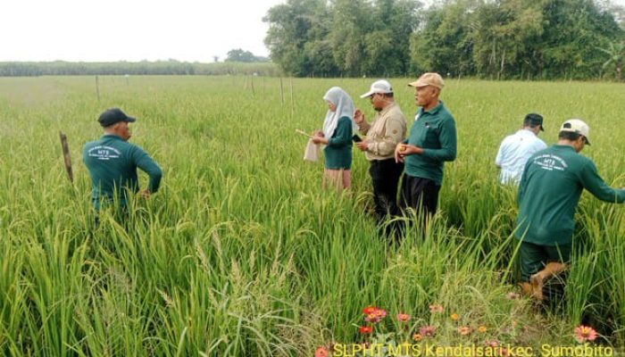 SAKA JATIM BANK INDONESIA 2025 Momentum Kobarkan Mantra Asta Cita Kabupaten Jombang
