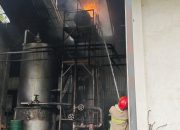Pasca Mesin Terbakar, Pabrik Triplek Di Ponggok Blitar Berhenti Produksi Sementara Waktu