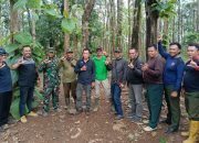 Sinergi Perhutani, TNI, dan Wartawan Jombang Jaga Keberhasilan Tanaman