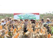 Panen Raya Jagung di Rejoso, Polres Nganjuk Perkuat Sinergi untuk Ketahanan Pangan