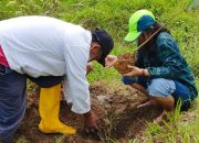 Menyelamatkan Mata Air Ngusri, Penggiat Lingkungan Tanam 5 Ribu Pohon