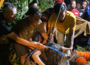 Damkar Kabupaten Blitar Evakuasi Warga Krisik Gandusari Terperosok Ke Dalam Septic Tank.