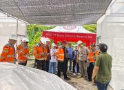 Bekali Pelatihan Untuk Masa Pensiun, SIG Pabrik Tuban Ajak Karyawan Jajaki Bisnis Melon Premium